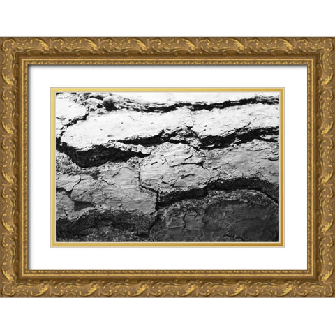 Found Textures IV Gold Ornate Wood Framed Art Print with Double Matting by Johnson, Jason
