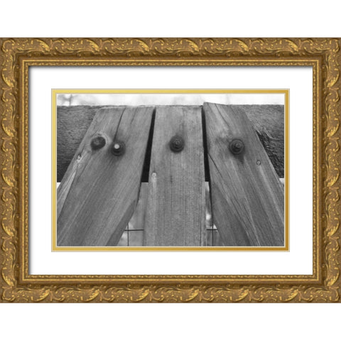 Found Textures V Gold Ornate Wood Framed Art Print with Double Matting by Johnson, Jason