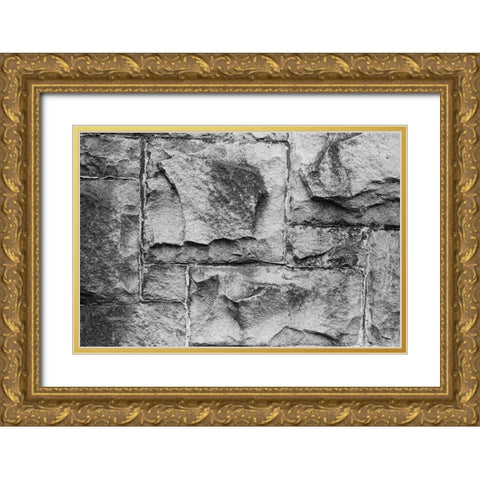 Found Textures VI Gold Ornate Wood Framed Art Print with Double Matting by Johnson, Jason