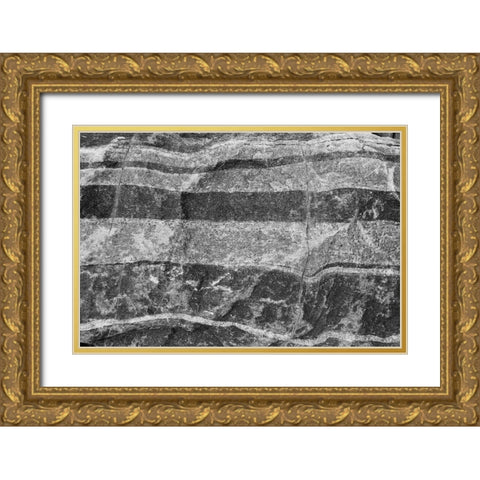 Found Textures XI Gold Ornate Wood Framed Art Print with Double Matting by Johnson, Jason