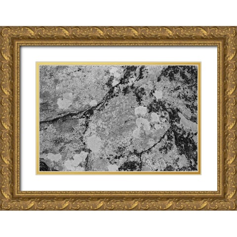 Found Textures XII Gold Ornate Wood Framed Art Print with Double Matting by Johnson, Jason