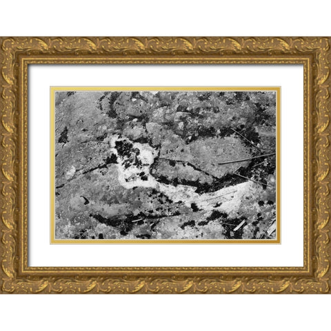 Found Textures XIV Gold Ornate Wood Framed Art Print with Double Matting by Johnson, Jason