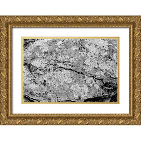 Found Textures XVI Gold Ornate Wood Framed Art Print with Double Matting by Johnson, Jason