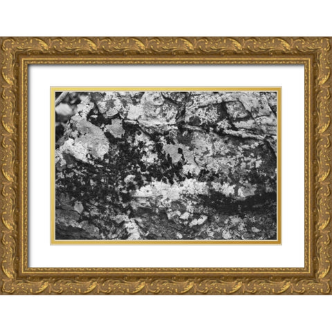 Found Textures XX Gold Ornate Wood Framed Art Print with Double Matting by Johnson, Jason