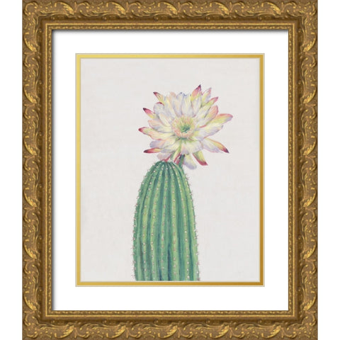 Cactus Blossom I Gold Ornate Wood Framed Art Print with Double Matting by OToole, Tim