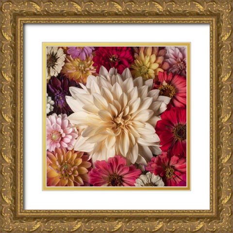 Dahlia Dream Scape  II Gold Ornate Wood Framed Art Print with Double Matting by McLean, Leah