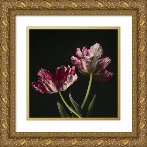 Open Bloomed Tulips Gold Ornate Wood Framed Art Print with Double Matting by McLean, Leah