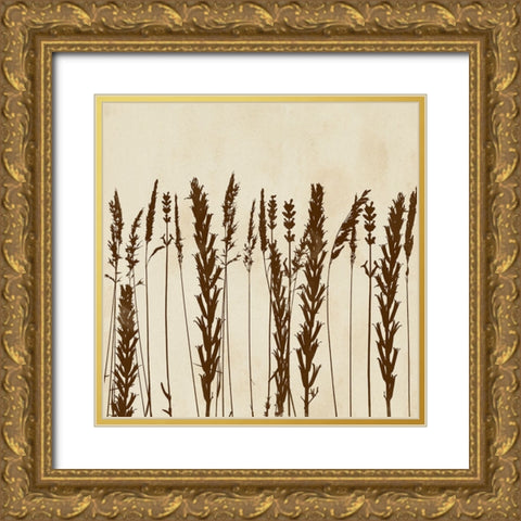 Garden Silhouette LIneup II Gold Ornate Wood Framed Art Print with Double Matting by Vision Studio