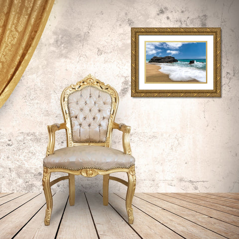 Slow Motion I Gold Ornate Wood Framed Art Print with Double Matting by Head, Danny
