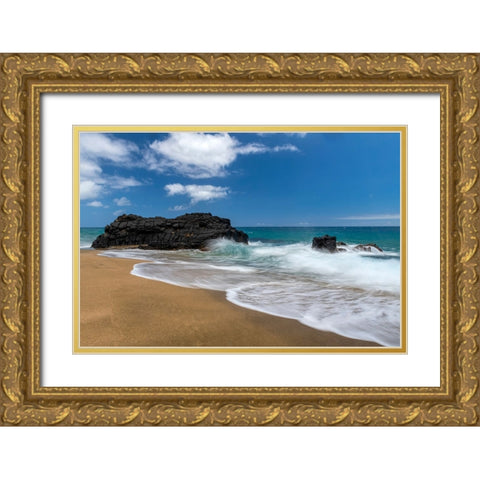 Slow Motion II Gold Ornate Wood Framed Art Print with Double Matting by Head, Danny
