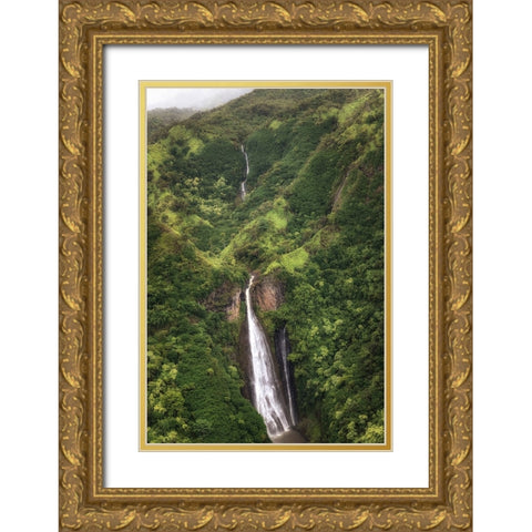 Jarassic Falls Gold Ornate Wood Framed Art Print with Double Matting by Head, Danny