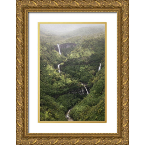 Ribbon Streams II Gold Ornate Wood Framed Art Print with Double Matting by Head, Danny