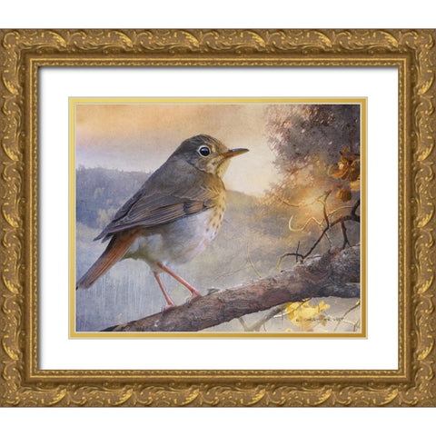 Hermit Thrush Hillside Drive Gold Ornate Wood Framed Art Print with Double Matting by Vest, Chris