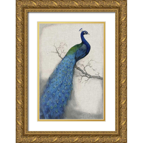 Peacock Blue I Gold Ornate Wood Framed Art Print with Double Matting by OToole, Tim