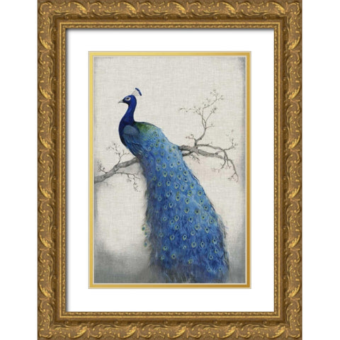 Peacock Blue II Gold Ornate Wood Framed Art Print with Double Matting by OToole, Tim