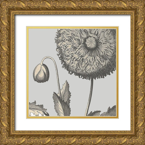Besler Poppy Composition II Gold Ornate Wood Framed Art Print with Double Matting by Vision Studio