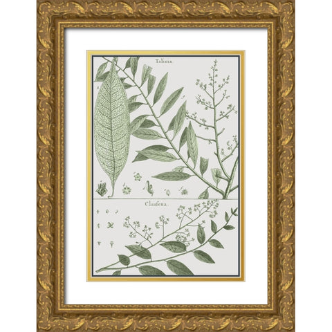 Antique Ferns Revival I Gold Ornate Wood Framed Art Print with Double Matting by Dedirot