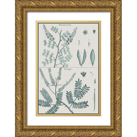 Antique Ferns Revival IV Gold Ornate Wood Framed Art Print with Double Matting by Dedirot