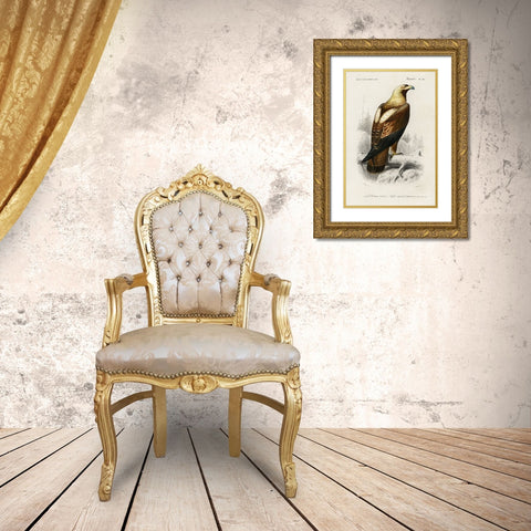 dOrbigny Raptor I Gold Ornate Wood Framed Art Print with Double Matting by DOrbigny, M. Charles