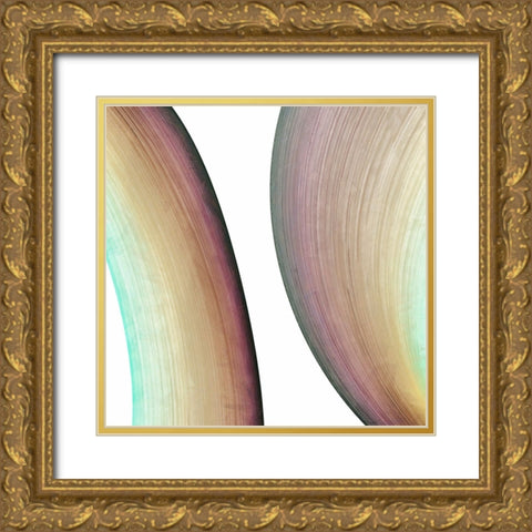 Inner Pathways  II Gold Ornate Wood Framed Art Print with Double Matting by Saunders, Alonzo