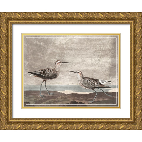 Gilded Sandpipers III Gold Ornate Wood Framed Art Print with Double Matting by Audubon, John James