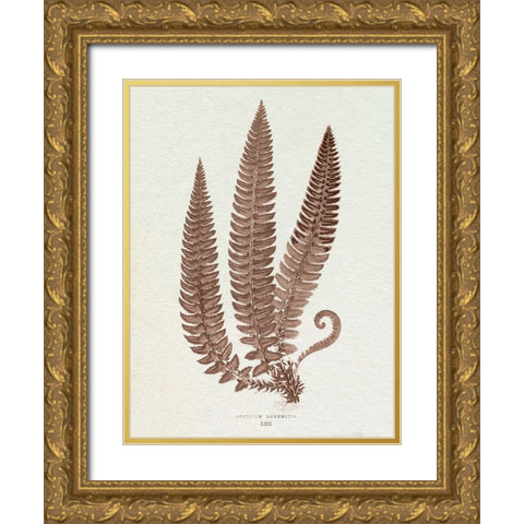 Lowe Sepia Fern V Gold Ornate Wood Framed Art Print with Double Matting by Lowe, E.J.