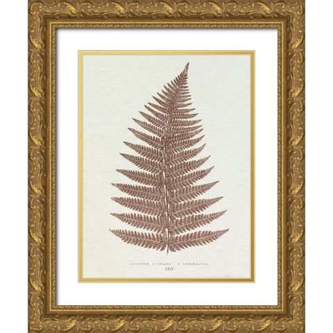 Lowe Sepia Fern VI Gold Ornate Wood Framed Art Print with Double Matting by Lowe, E.J.