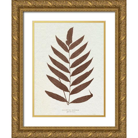 Lowe Sepia Fern VIII Gold Ornate Wood Framed Art Print with Double Matting by Lowe, E.J.