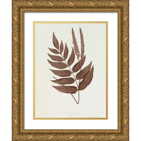 Lowe Sepia Fern XII Gold Ornate Wood Framed Art Print with Double Matting by Lowe, E.J.