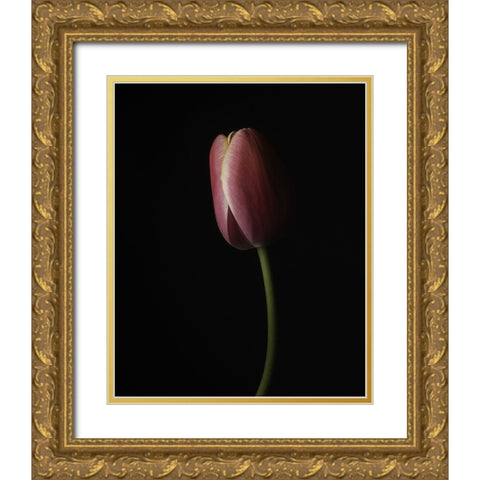 Beautiful Curve I Gold Ornate Wood Framed Art Print with Double Matting by McLean, Leah