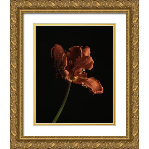 Beautiful Curve II Gold Ornate Wood Framed Art Print with Double Matting by McLean, Leah