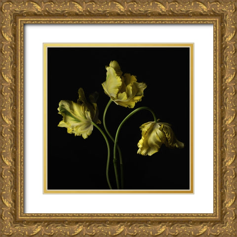 Beautiful Curve III Gold Ornate Wood Framed Art Print with Double Matting by McLean, Leah