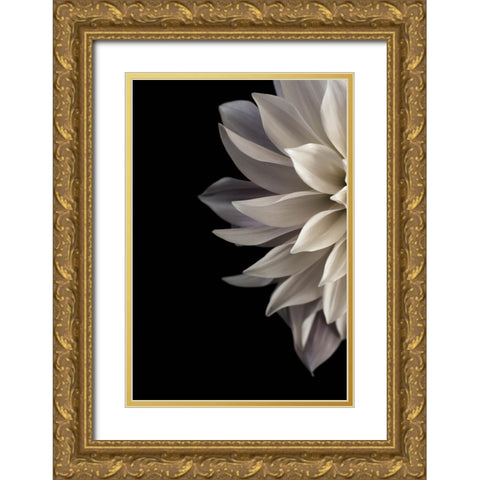 Shattered Petals I Gold Ornate Wood Framed Art Print with Double Matting by Stalus, Judy