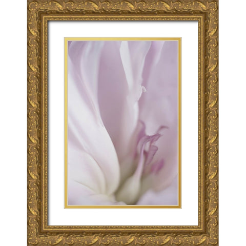Maiden II Gold Ornate Wood Framed Art Print with Double Matting by Stalus, Judy
