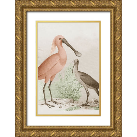 Antique Chroma Waterbirds II Gold Ornate Wood Framed Art Print with Double Matting by Unknown