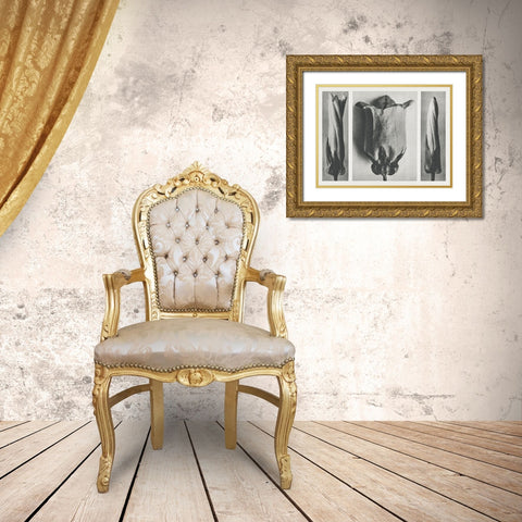 Blossfeldts Triptych III Gold Ornate Wood Framed Art Print with Double Matting by Blossfeldt, Karl