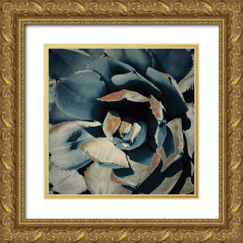 Succulent in Teal II Gold Ornate Wood Framed Art Print with Double Matting by Orlov, Irena
