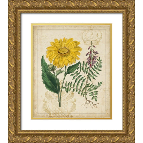 Botanical Repertoire III Gold Ornate Wood Framed Art Print with Double Matting by Vision Studio