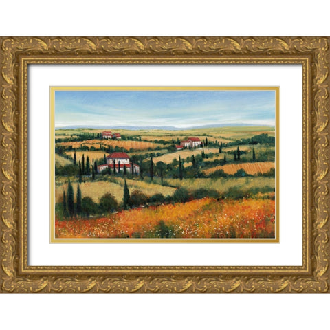 Hills of Tuscany II Gold Ornate Wood Framed Art Print with Double Matting by OToole, Tim
