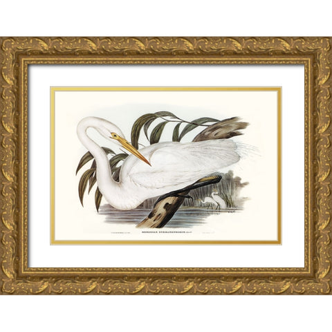 Majestic Waterbird I Gold Ornate Wood Framed Art Print with Double Matting by Gould, Elizabeth