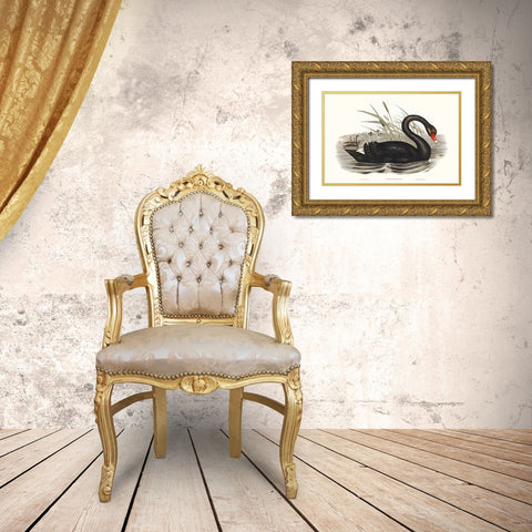 Majestic Waterbird III Gold Ornate Wood Framed Art Print with Double Matting by Gould, Elizabeth