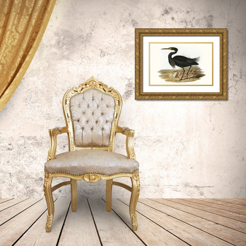 Majestic Waterbird IV Gold Ornate Wood Framed Art Print with Double Matting by Gould, Elizabeth