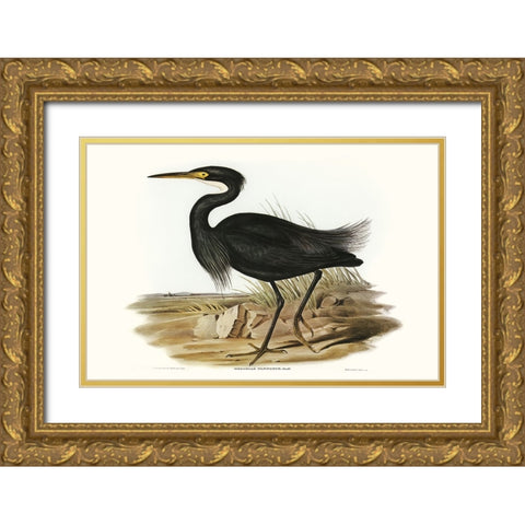 Majestic Waterbird IV Gold Ornate Wood Framed Art Print with Double Matting by Gould, Elizabeth