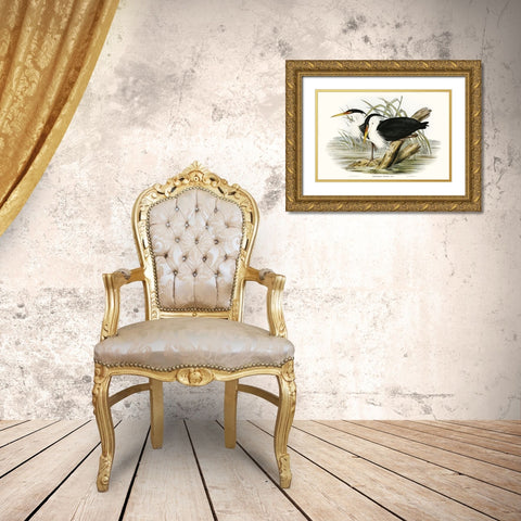 Waterbird Pairing II Gold Ornate Wood Framed Art Print with Double Matting by Gould, Elizabeth