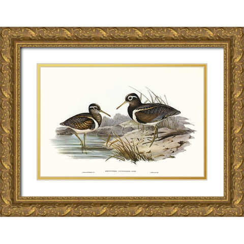 Waterbird Pairing III Gold Ornate Wood Framed Art Print with Double Matting by Gould, Elizabeth