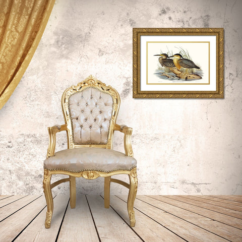 Waterbird Pairing IV Gold Ornate Wood Framed Art Print with Double Matting by Gould, Elizabeth