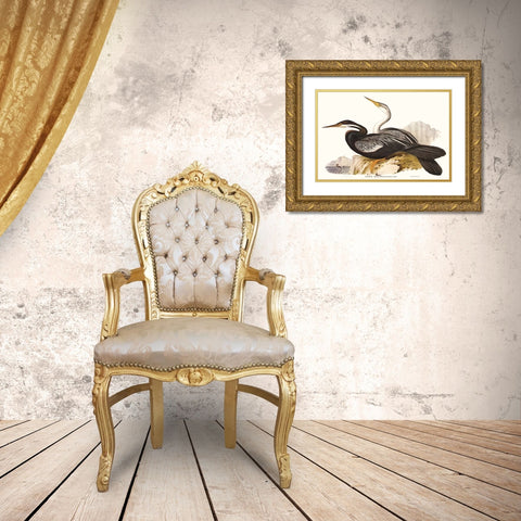 Waterbird Pairing V Gold Ornate Wood Framed Art Print with Double Matting by Gould, Elizabeth