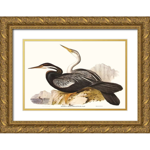 Waterbird Pairing V Gold Ornate Wood Framed Art Print with Double Matting by Gould, Elizabeth