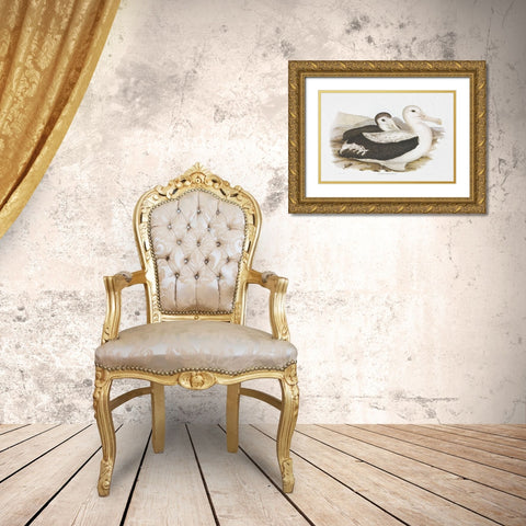 Seabird Pairing III Gold Ornate Wood Framed Art Print with Double Matting by Gould, Elizabeth