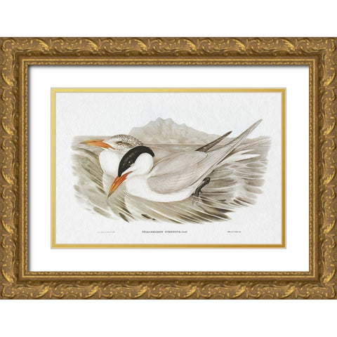 Seabird Pairing VI Gold Ornate Wood Framed Art Print with Double Matting by Gould, Elizabeth